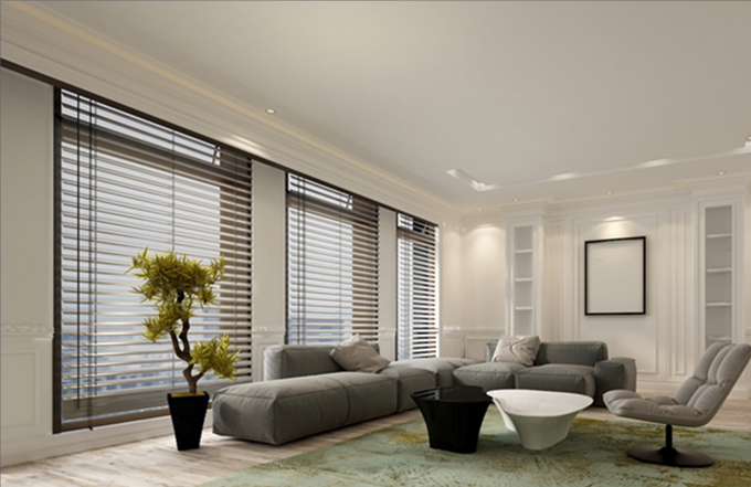 Blinds Everything You Need to Know About